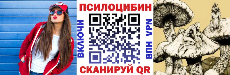 Купить  Холм  Псилоцибиновые грибы Magic Shrooms 